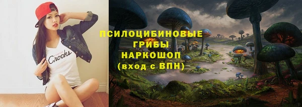 бутират Инсар
