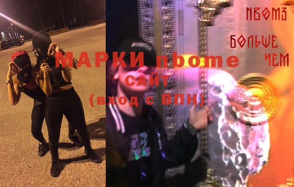 индика Инта