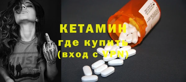 индика Инта