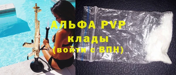 индика Инта