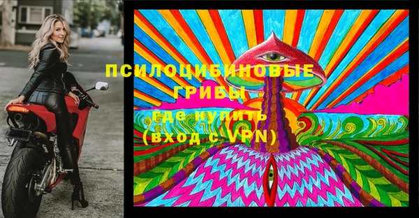 индика Инта