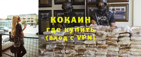индика Инта