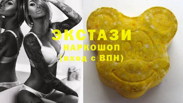 индика Инта