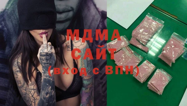 индика Инта
