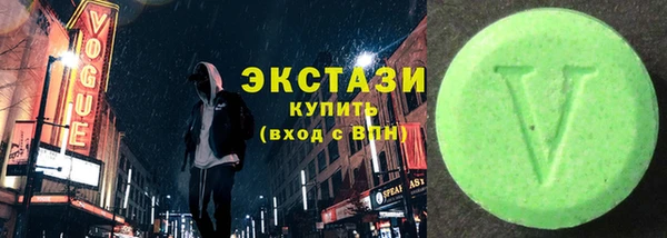 индика Инта