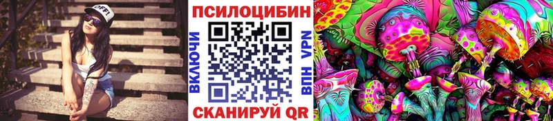 Купить закладки  Новокузнецк  Галлюциногенные грибы мухоморы 